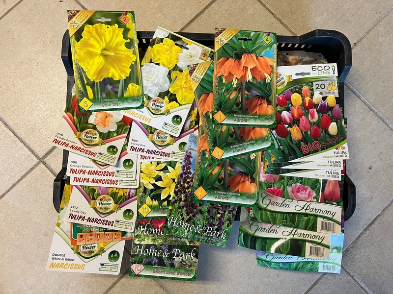 nárcisz, császárkorona, tulipán