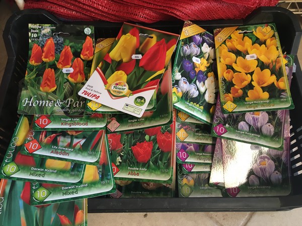 tulipánok